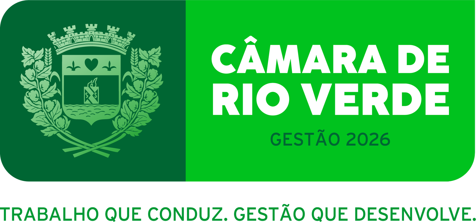 Câmara Municipal de Rio Verde